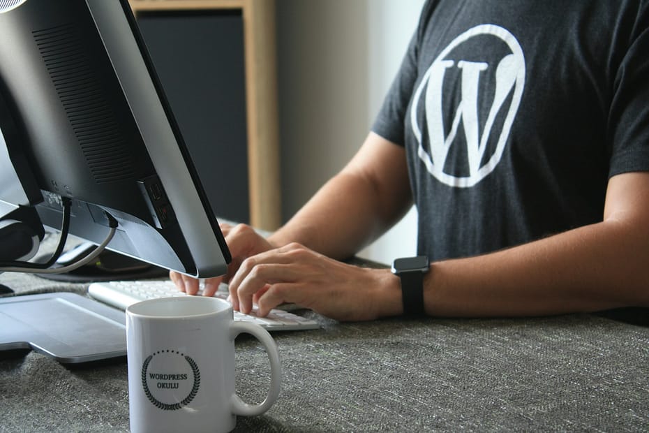 WordPress CMS